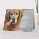 Zoek naar grappig golden retriever kaarten Dier