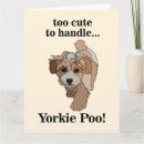 Zoek naar yorkies kaarten Huisdier