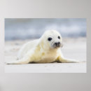 Zoek naar sneeuw afbeeldingen posters Schattig