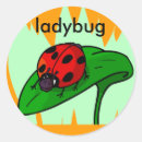 Zoek naar coccinelle Schattig