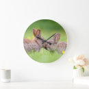 Zoek naar baby konijn klokken Bunny