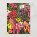 Zoek naar tulpen briefkaarten Bloemen