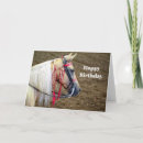 Zoek naar palomino kaarten Mooi