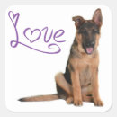 Zoek naar herders stickers Liefde