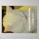 Zoek naar katten gebed posters Christelijk