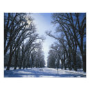 Zoek naar parkbank posters Buiten