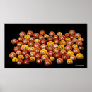 Zoek naar cubanen posters Wilde dieren