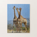 Zoek naar wildlife puzzels Afrika