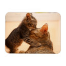 Zoek naar kiss magneten Liefde