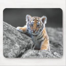 Zoek naar tijger mousepad muismatten Tijgermuismatten