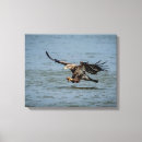 Zoek naar ogen canvas prints Vogel