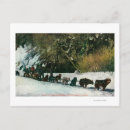 Zoek naar yukon briefkaarten Hond