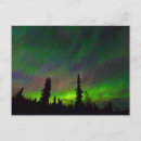 Zoek naar aurora briefkaarten Mooi