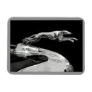 Zoek naar windhond magneten Hondenkunst