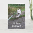 Zoek naar running kaarten Schattig