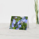 Zoek naar blauwe vlinder kaarten Voor iedereen