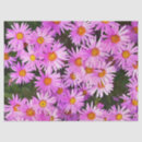 Zoek naar natuur tissue papier Pretty