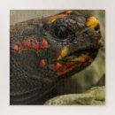 Zoek naar voeten puzzels Natuur