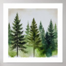 Zoek naar kerstboom posters Pijnboomboom