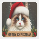 Zoek naar ragdoll kat stickers Kerstmis