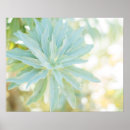 Zoek naar fine art posters Bloem