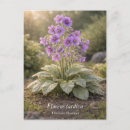 Zoek naar vintage bloemen briefkaarten Bloemkunst
