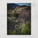 Zoek naar arboretum briefkaarten Natuur