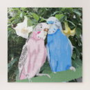 Zoek naar budgie puzzels Bostel