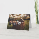 Zoek naar dog lover kaarten Voor haar