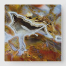 Zoek naar fossielen klokken Close up