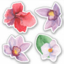 Zoek naar orchidee stickers Bloemen