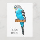 Zoek naar blauwe parkiet briefkaarten Voor iedereen