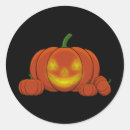 Zoek naar roodborstje stickers Oranje