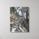 Zoek naar rots canvas prints Boom