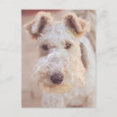Zoek naar airedale terrier briefkaarten Schattig