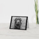Zoek naar chocolade labrador retriever kaarten Hond