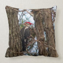 Zoek naar specht kussens Natuur