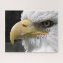Zoek naar roofvogels puzzels Dieren