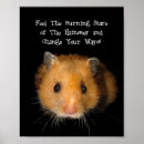 Zoek naar leuke hamster posters Elk persoon