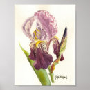 Zoek naar paarse iris waterverf