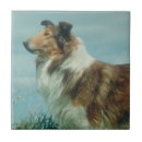 Zoek naar ruw tegels Hond