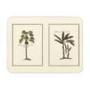 Zoek naar miniatuur magneten Bomen