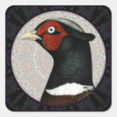 Zoek naar jachtluipaard stickers Fazant