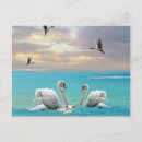 Zoek naar zwaan briefkaarten Voor haar