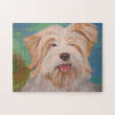 Zoek naar cairn terrier puzzels Doodsbang