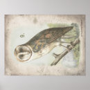Zoek naar antiek vogels posters Druk