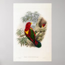 Zoek naar mantel posters Natuur