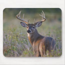 Zoek naar staart muismatten Wild