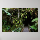 Zoek naar lava vulkaan posters Hawaii