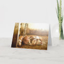 Zoek naar leuke varkens kaarten Schattig